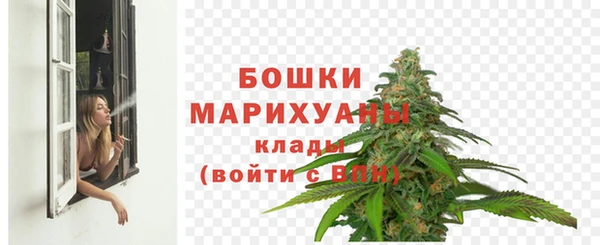 сатива Покровск