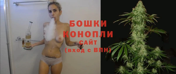 сатива Покровск