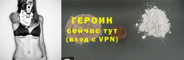 СК Ельня