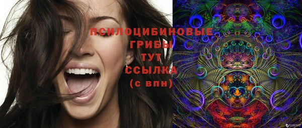 амф Покров