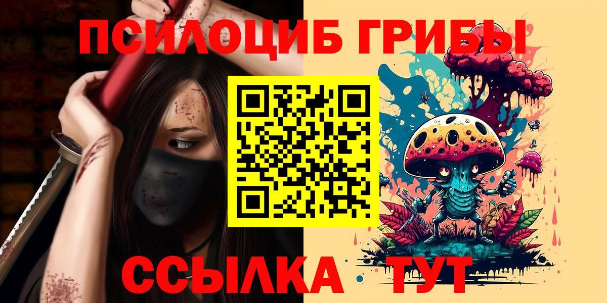 Галлюциногенные грибы мицелий  наркошоп  Славгород 