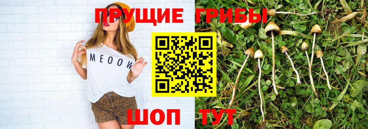 Славгород  закладки  Вход с VPN  Галлюциногенные грибы мицелий 