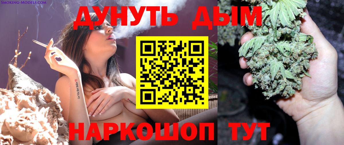 Марихуана конопля  Канабис Bruce Banner  Славгород  Канабис индика 